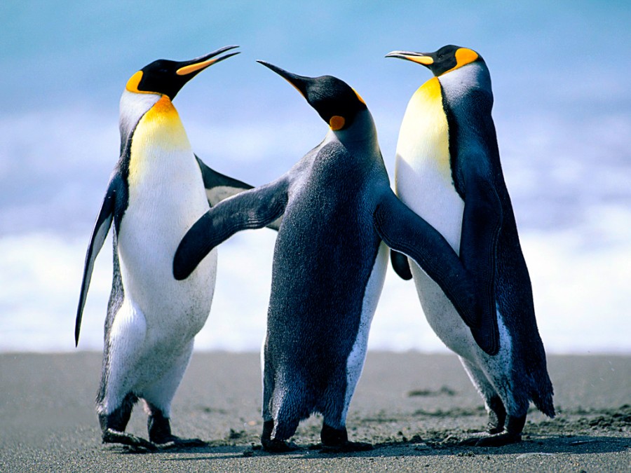 5592f5ed23531be7b727c0f591e2ed51_1758810000_5633.jpg