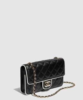 체인 지갑 AP4511